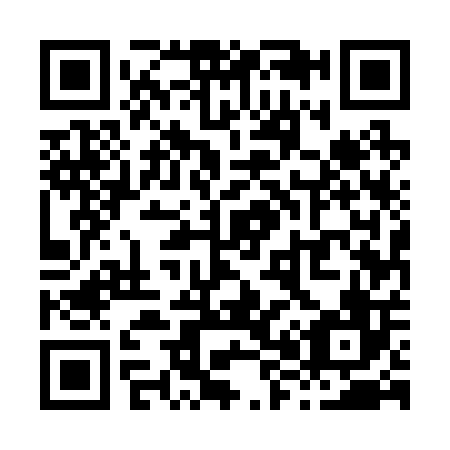 QR code for X85206
