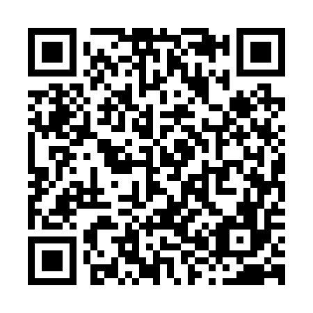 QR code for X85256