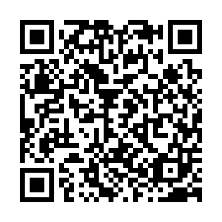 QR code for X85303