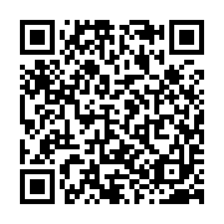 QR code for X85993