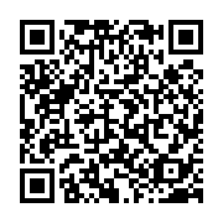 QR code for X86538