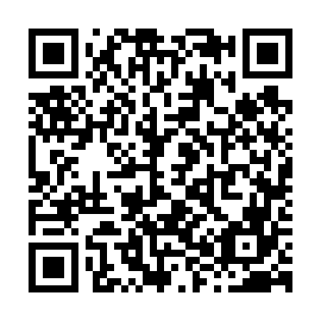 QR code for X86666