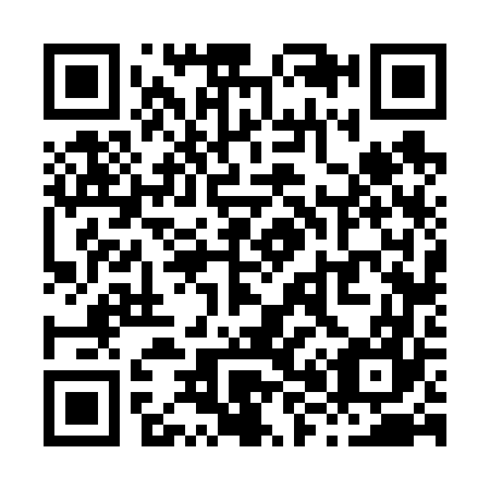 QR code for X86667