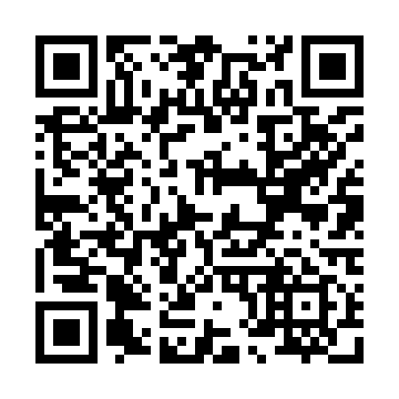 QR code for X86919