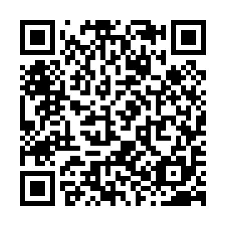 QR code for X87095