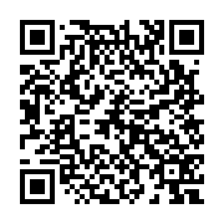 QR code for X87176