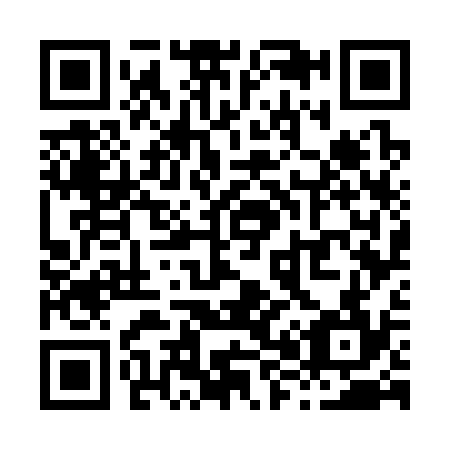 QR code for X87334