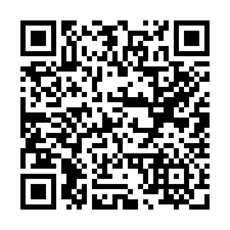 QR code for X87336