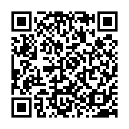 QR code for X87511
