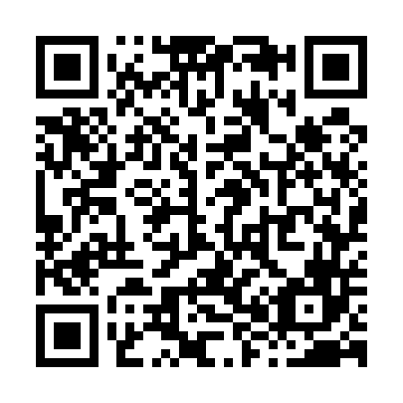 QR code for X87546