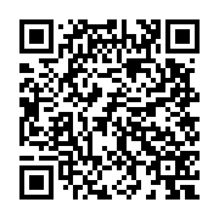 QR code for X87576