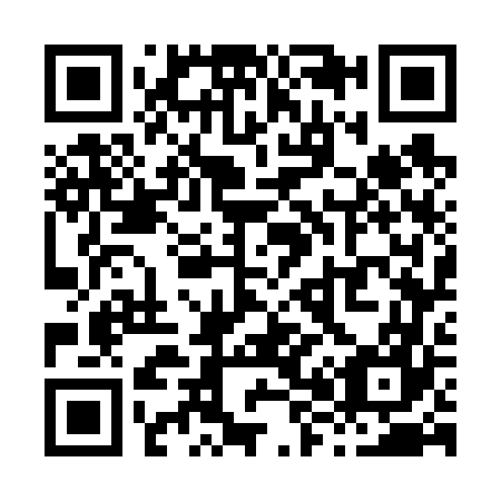 QR code for X87667