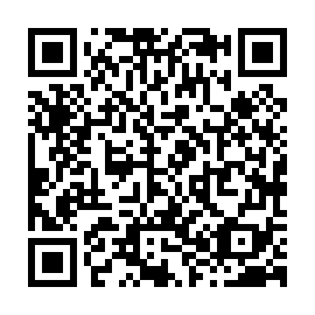 QR code for X88079