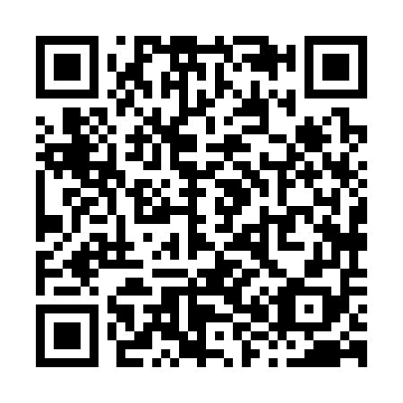QR code for X88358
