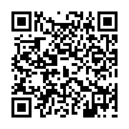 QR code for X88379