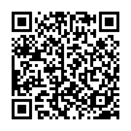 QR code for X89101