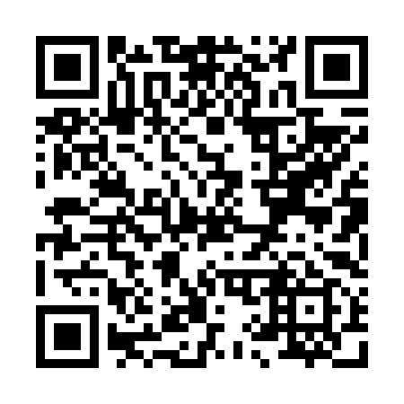 QR code for X90699