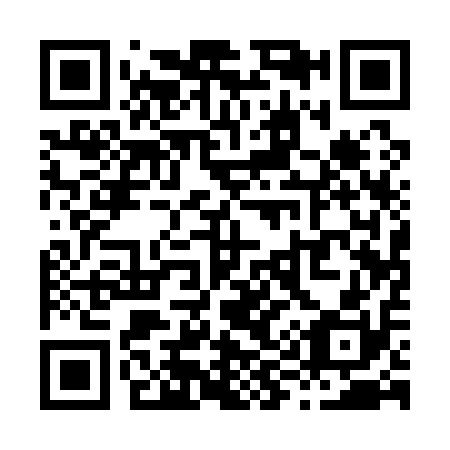 QR code for X91110