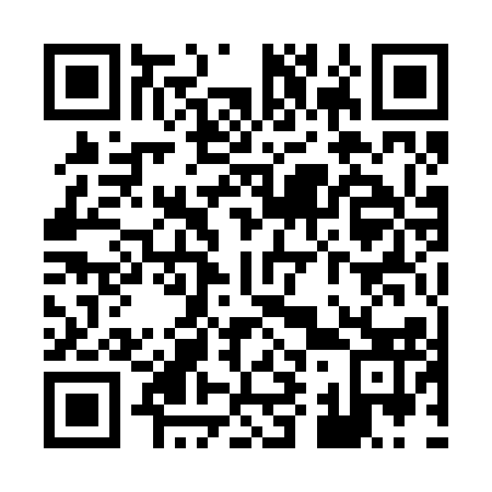 QR code for X91213