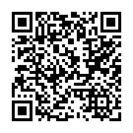 QR code for X91217