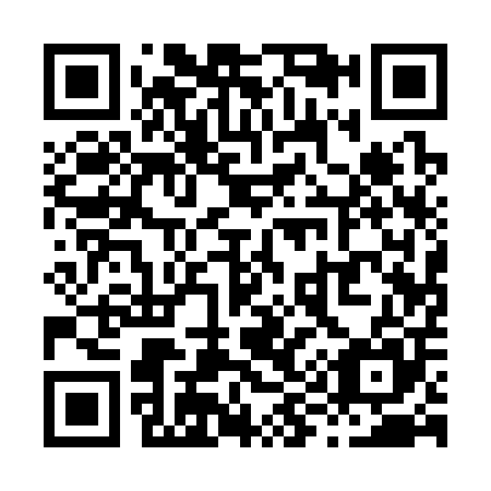 QR code for X91305