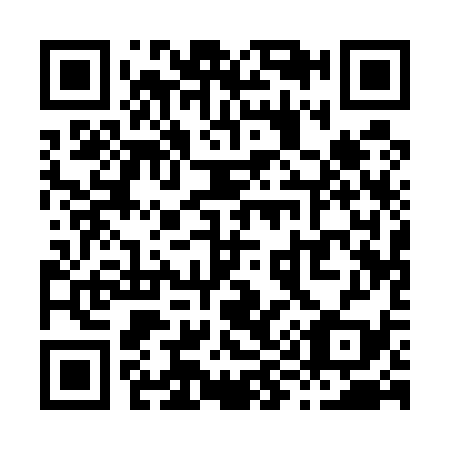 QR code for X91539