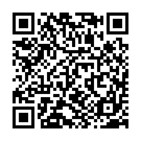 QR code for X92317