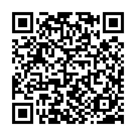 QR code for X92520