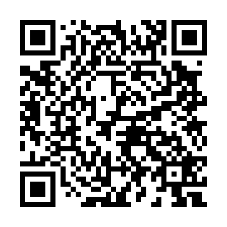 QR code for X93029