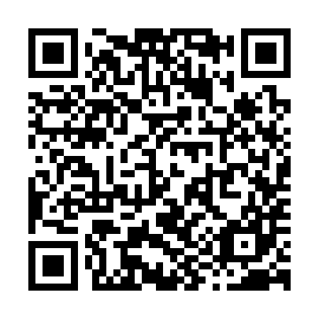 QR code for X93387