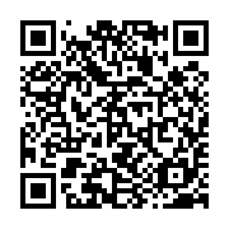 QR code for X93595