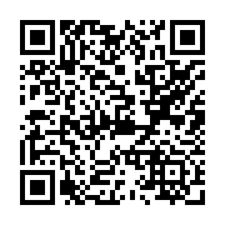 QR code for X93873