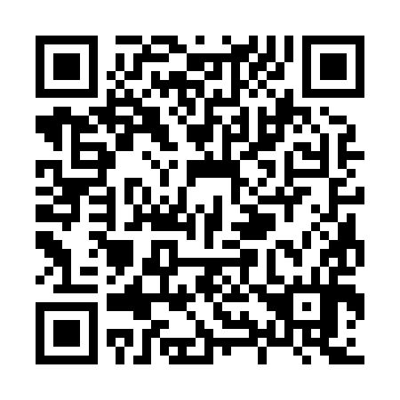 QR code for X93894