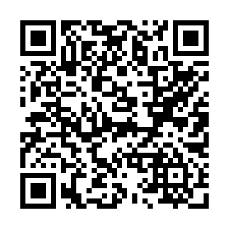 QR code for X94295