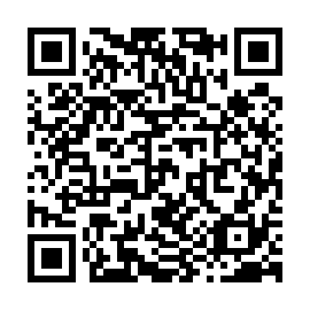 QR code for X95530