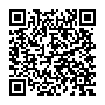 QR code for X95566