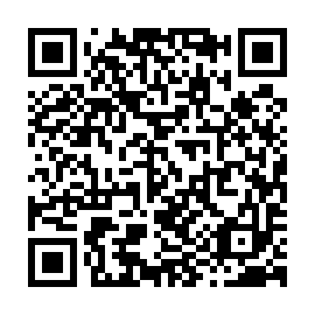 QR code for X95593