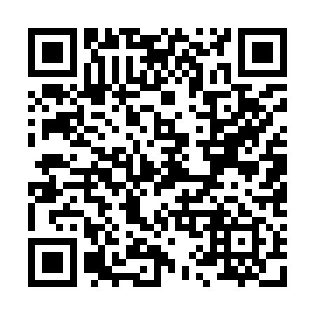 QR code for X95919