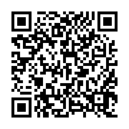 QR code for X96046