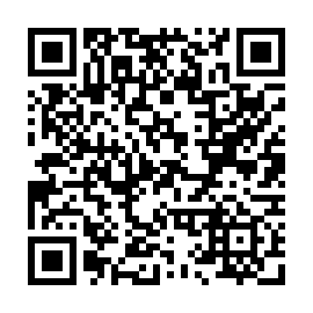 QR code for X96079