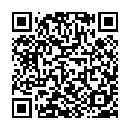 QR code for X96095