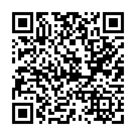 QR code for X96173