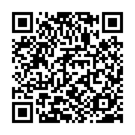 QR code for X96225