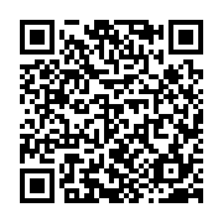 QR code for X96334