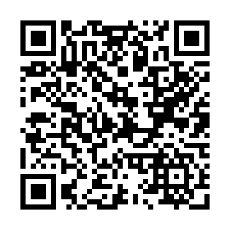 QR code for X96347