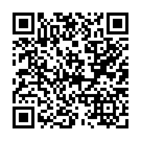 QR code for X96387