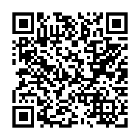 QR code for X96630