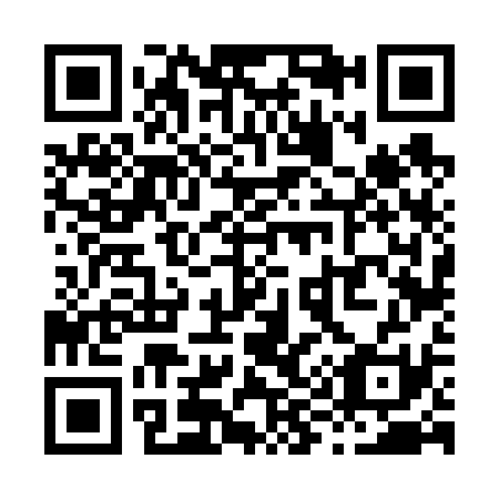 QR code for X96631