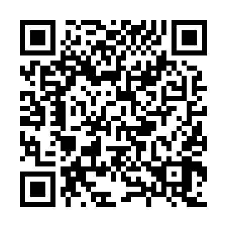 QR code for X96848