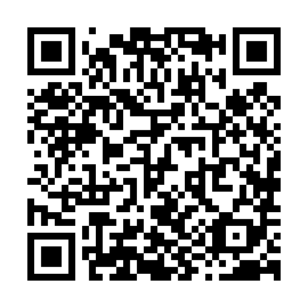 QR code for X98489